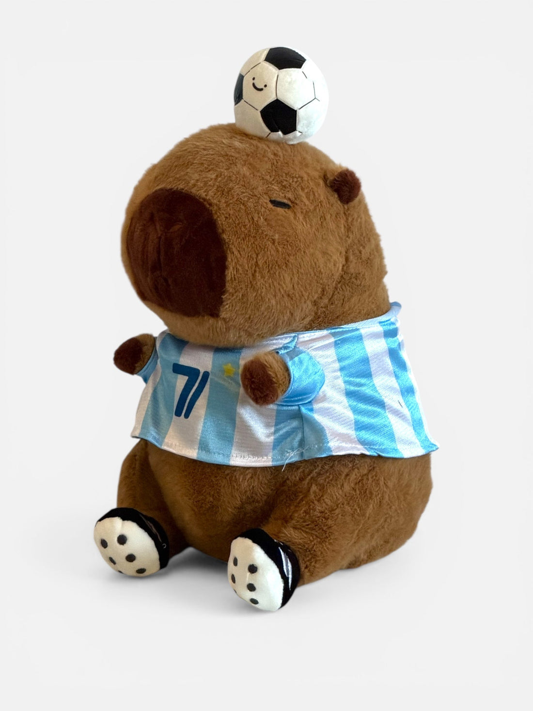 The Perfect Gift for Football & FIFA Fans: Meet Our Capybara Soccer Range