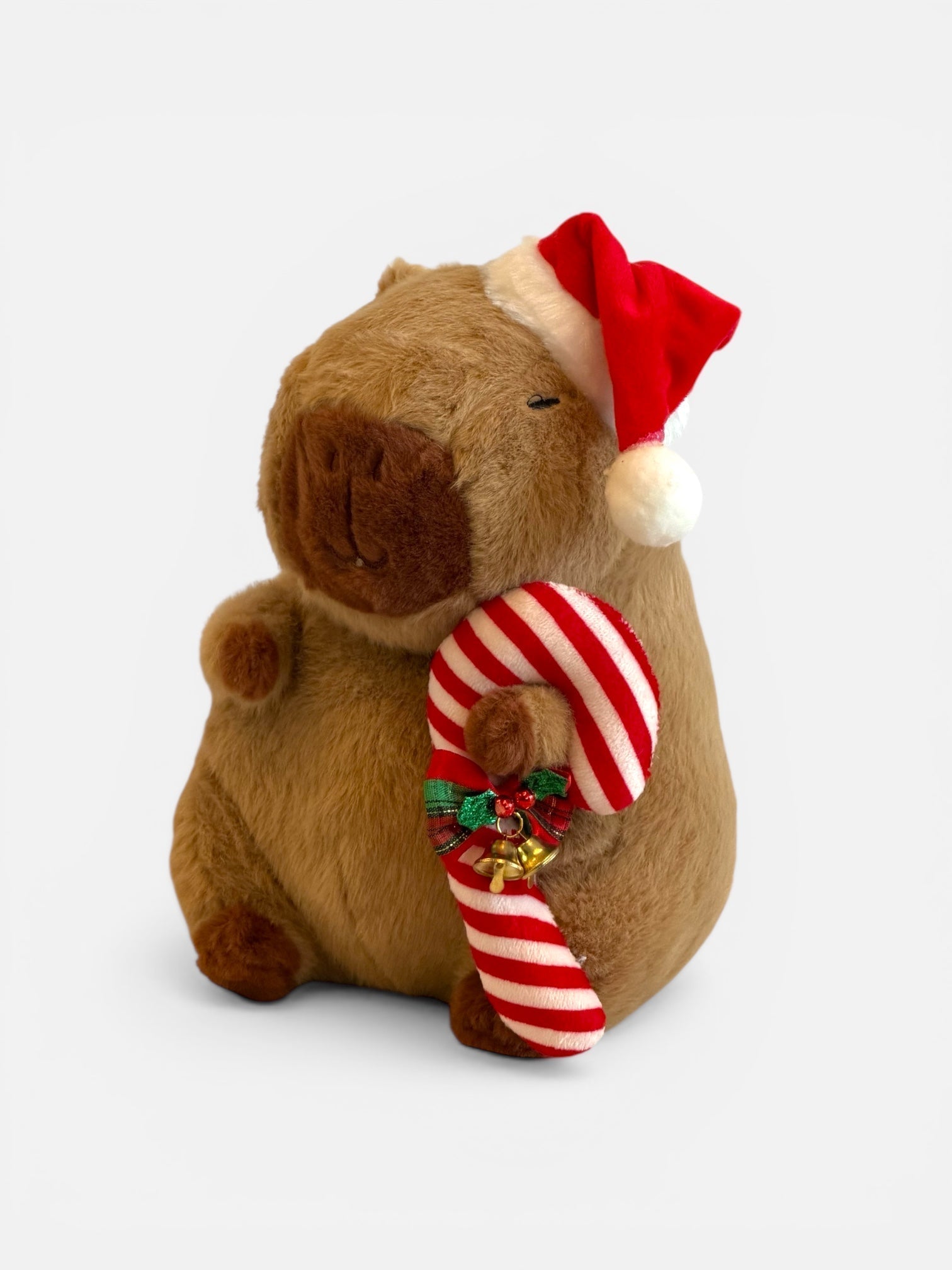 Capybara Christmas Gifts - Stay Capy