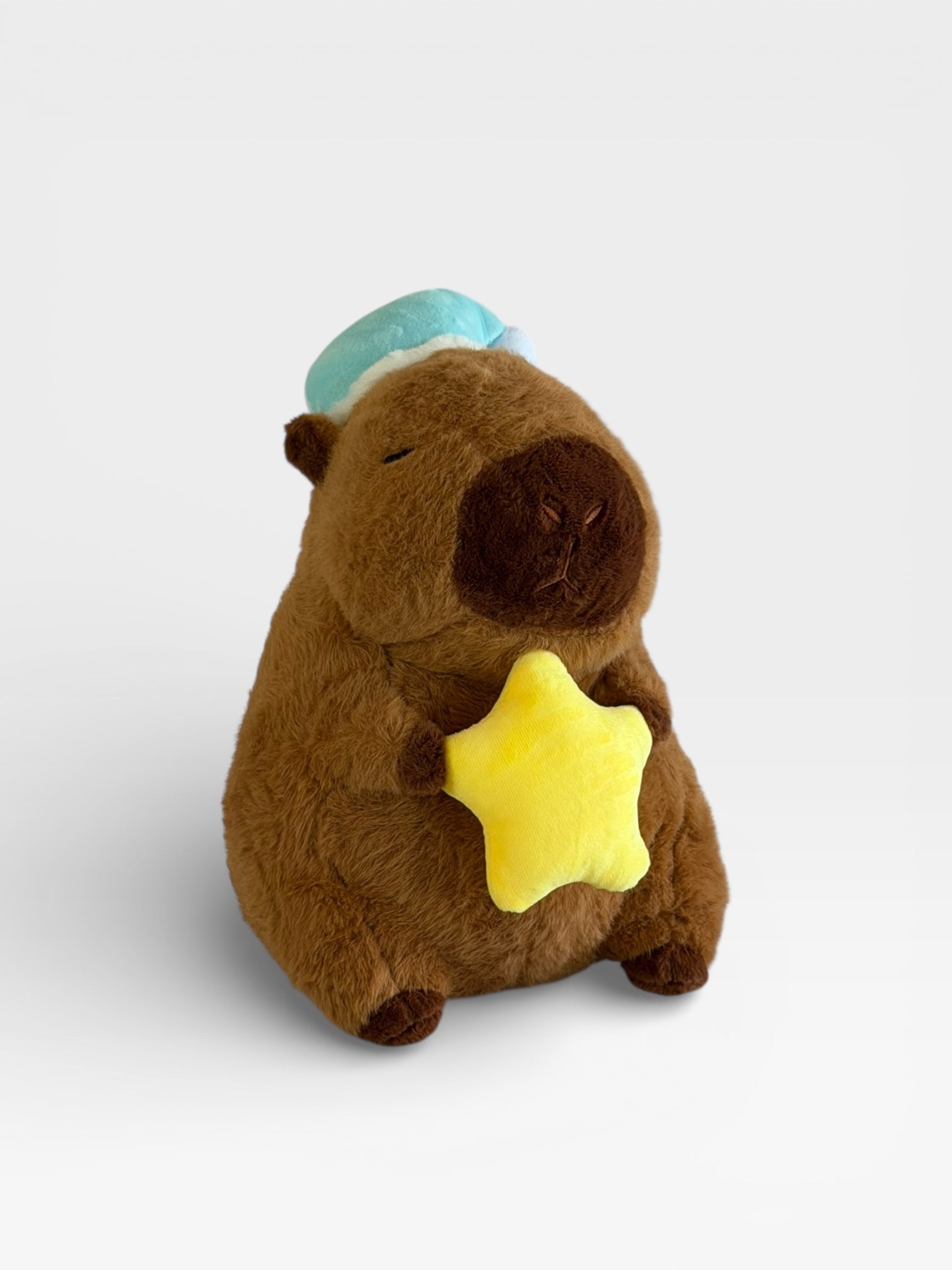 Capybara Plush Toy - Sweet Dreams (Star)