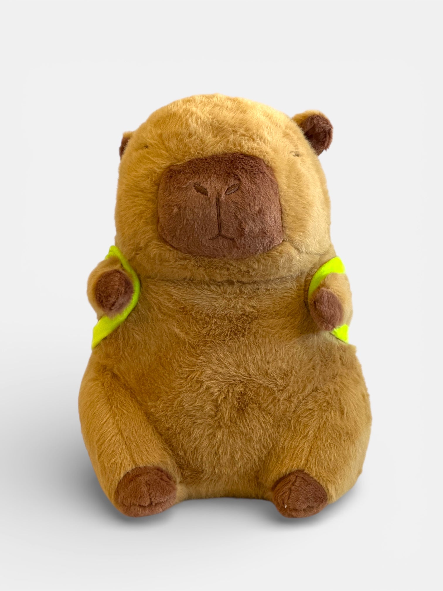 Capybara with Turtle Back Pack