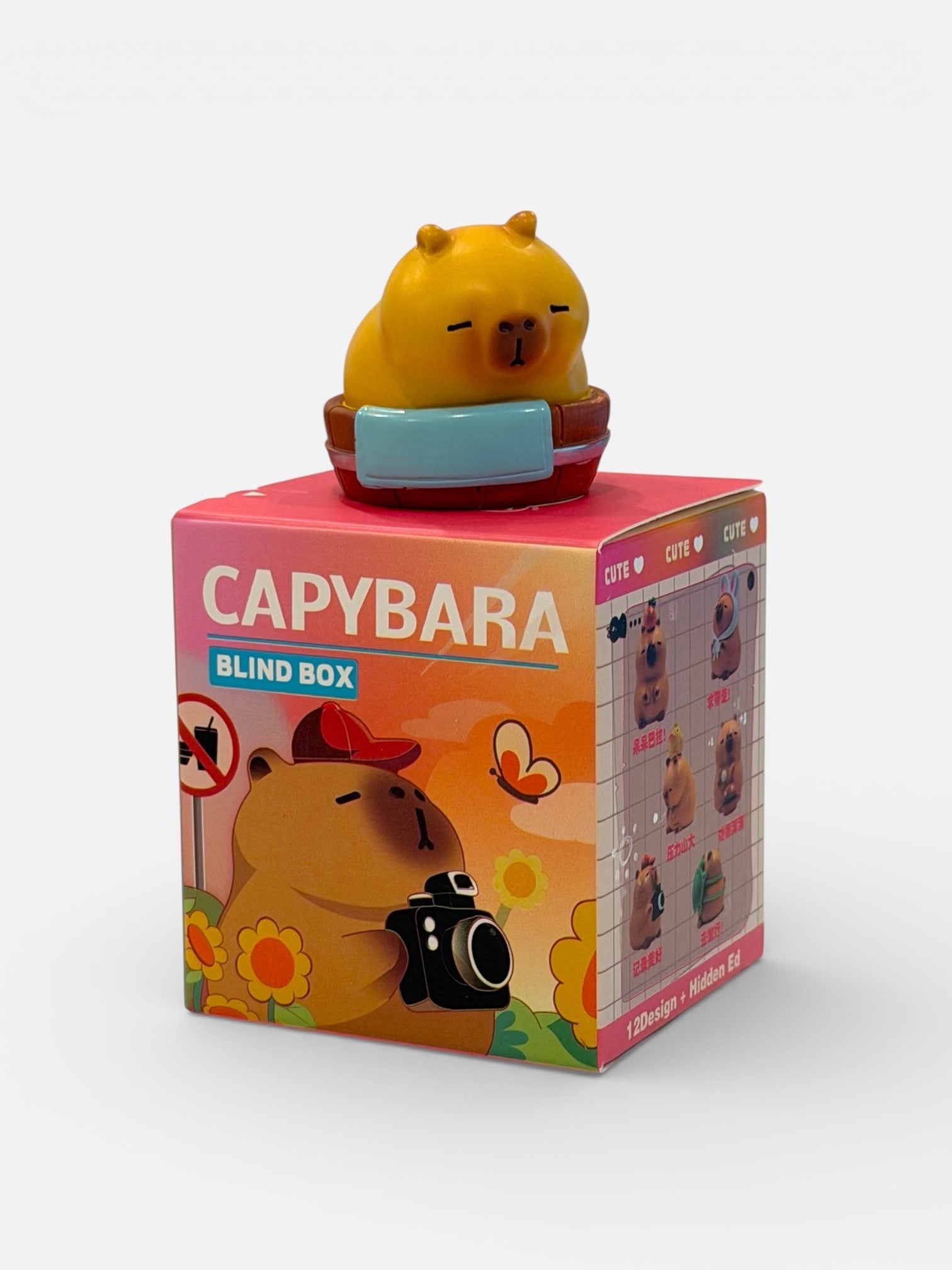 Capybara Blind Box - Small