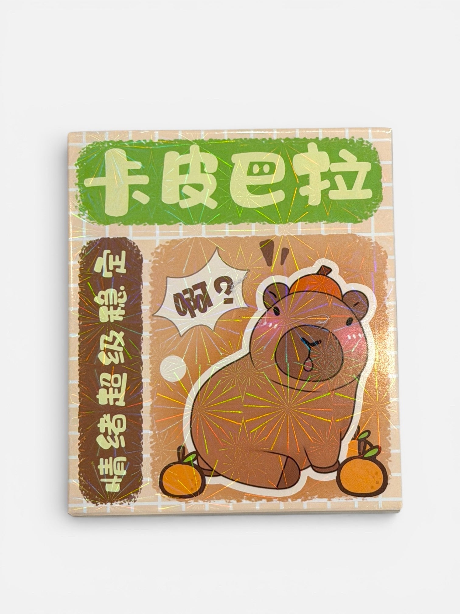 Capybara Blind Box - Premium