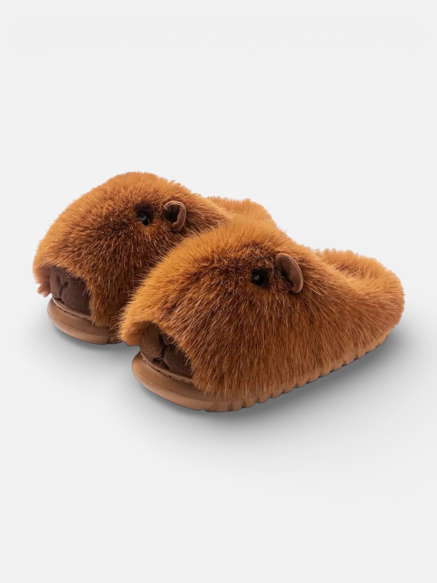 Capybara Slippers - Slides