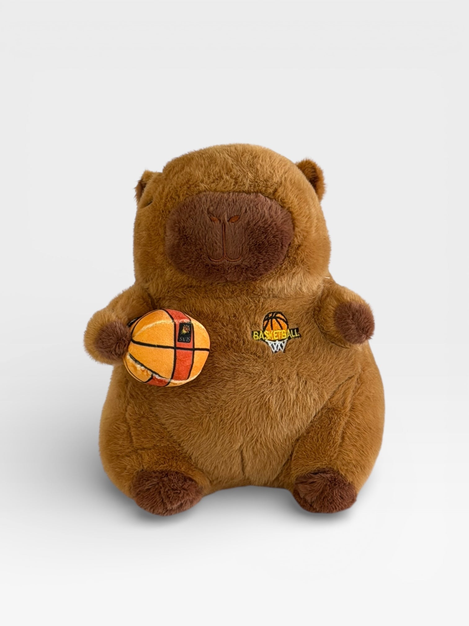 Capybara holding a basketball