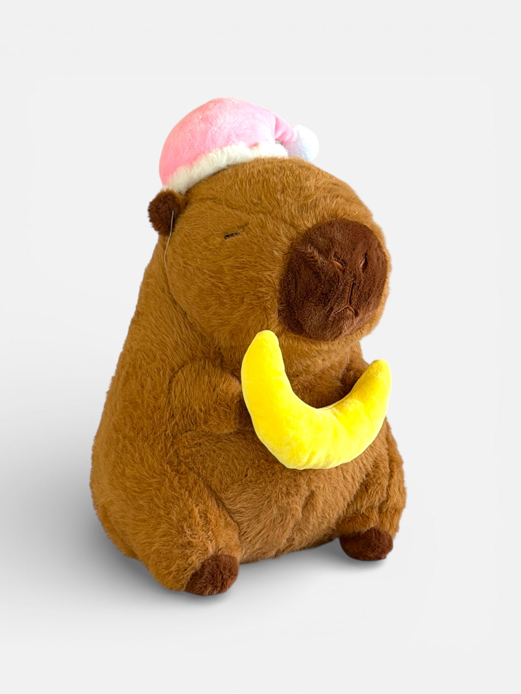 Capybara Plush with Moon and Hat