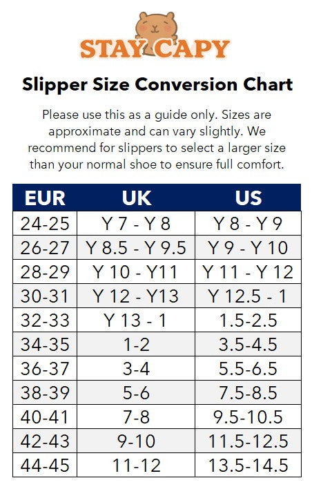 Capybara Slippers - Slides