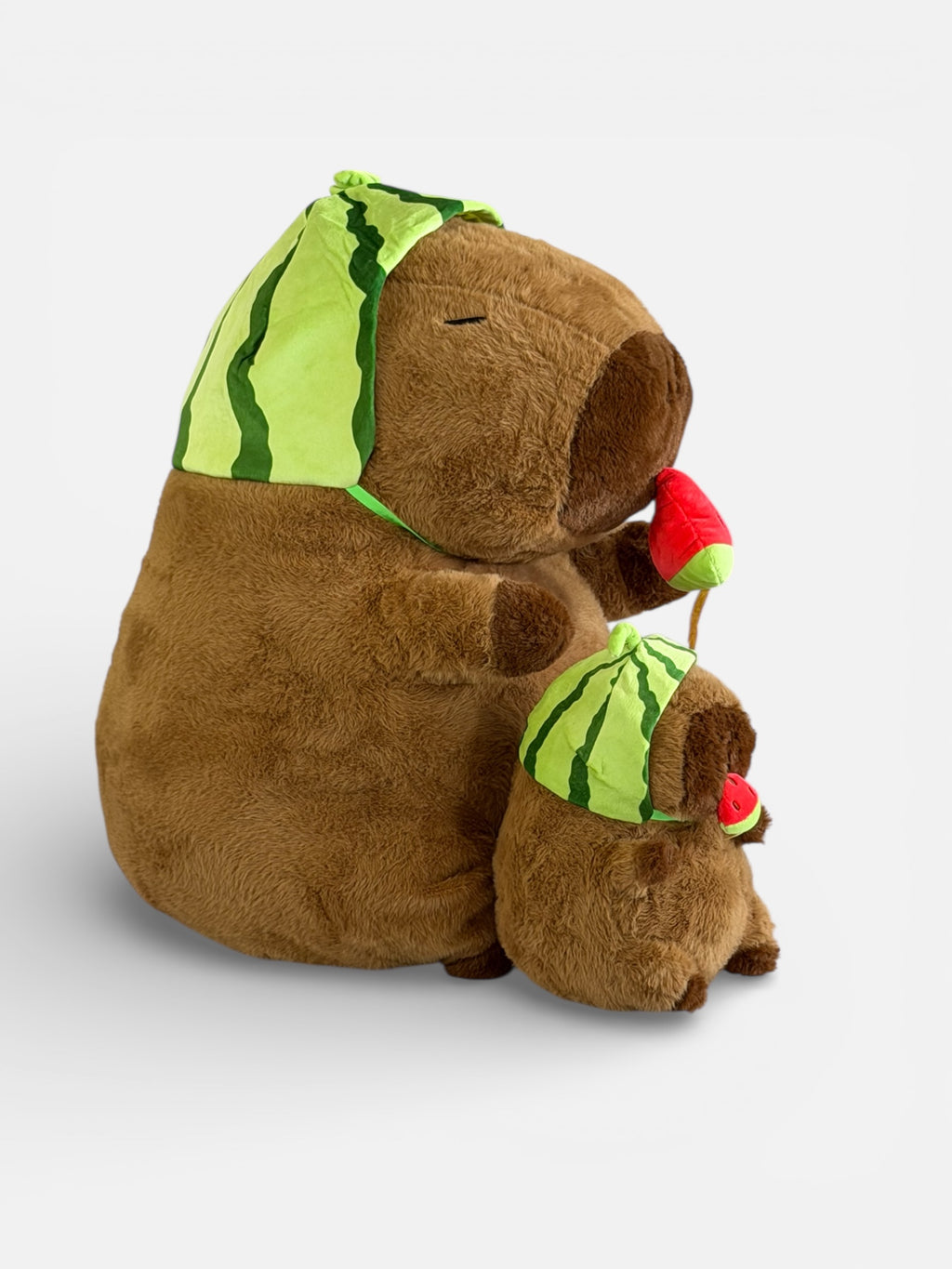 Capybara with Watermelon in mouth