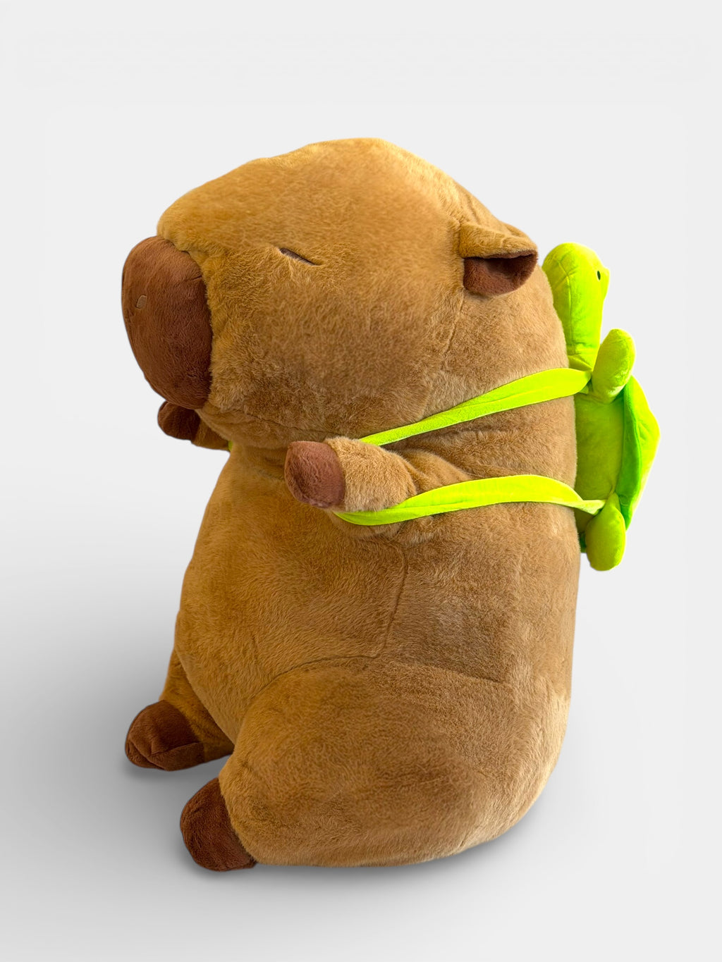 Capybara XL with Turtle