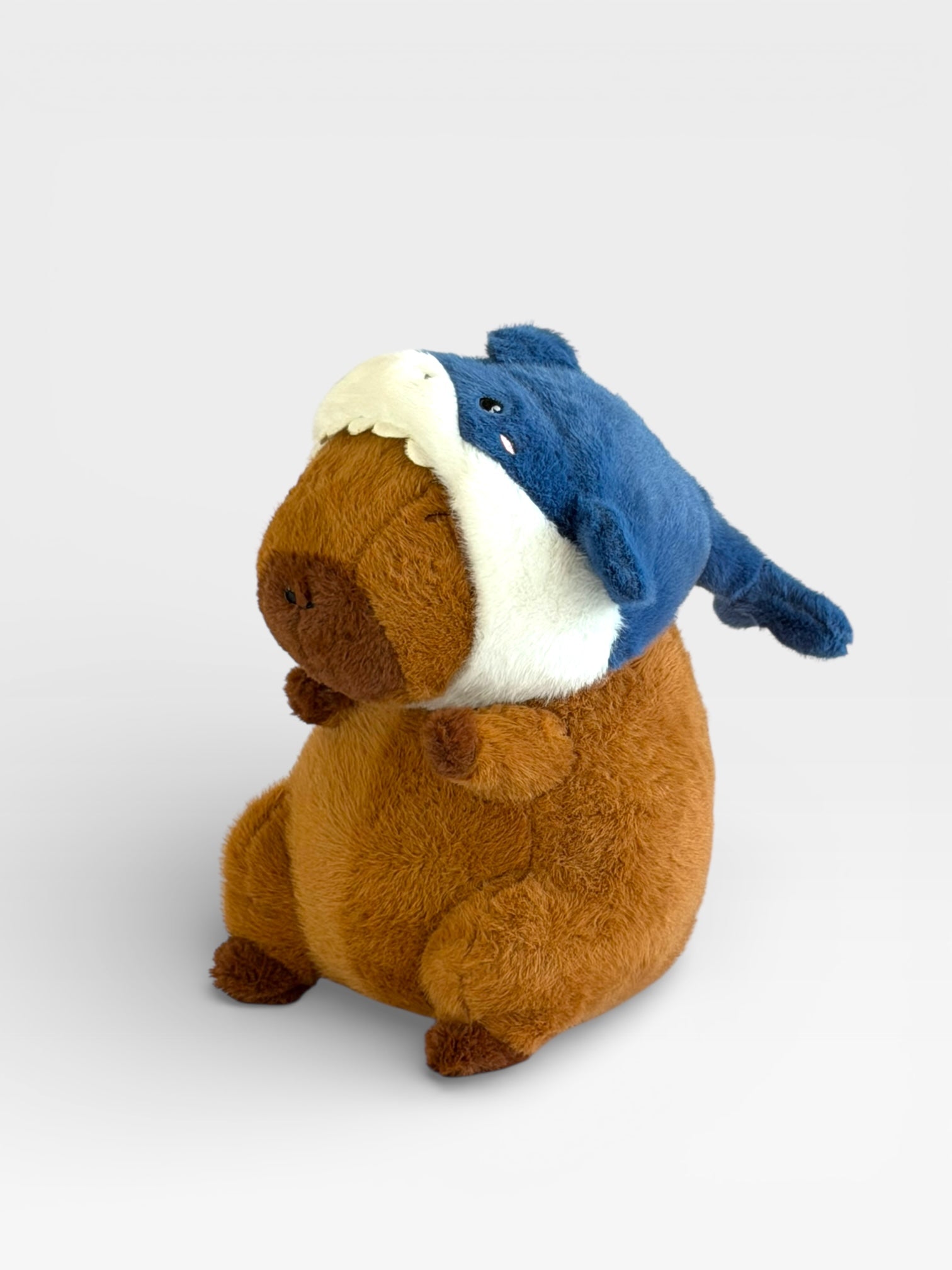 Capybara Plush with Shark Hat