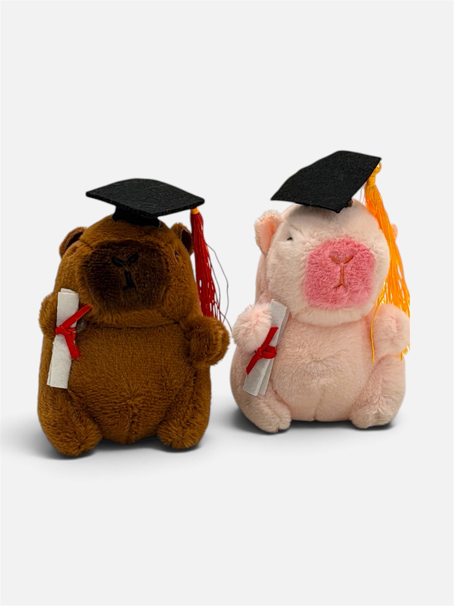 Capybara Keychain - Graduation Capys - Stay Capy