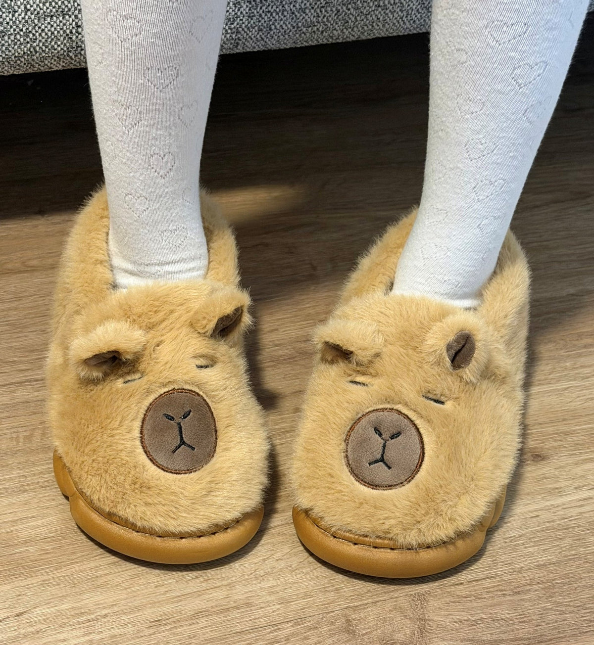 Capybara Slippers - Stay Capy